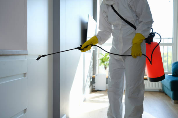 Best Emergency Mold Removal  in Cape May Court House, NJ